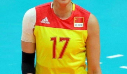 颜妮个人资料,排球赛场上的“铁娘子”，荣耀与拼搏的传奇人生