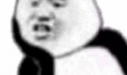 娱乐吃瓜君熊猫头,娱乐吃瓜君带你领略萌宠魅力