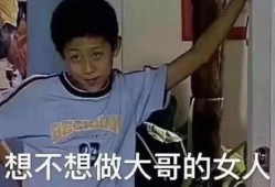 张一山问号表情包,揭秘明星趣味瞬间