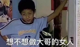 张一山问号表情包,揭秘明星趣味瞬间