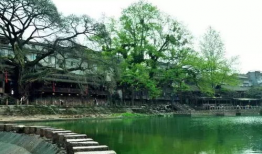 娱乐吃瓜酱四川眉山,眉山美食之旅