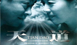 天道电视剧演员表,揭秘剧中演员阵容，实力派齐聚演绎传奇人生