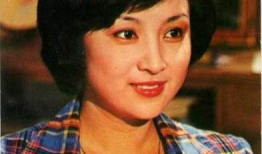 谢贤老婆资料,传奇人生与豪门恩怨的交织