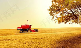 麦田的家庭背景,出身寒微，砥砺前行，谱写人生传奇