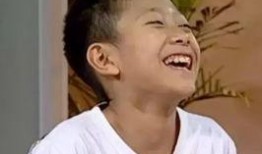 张一山问号表情包,揭秘明星趣味瞬间