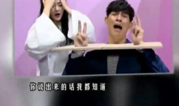 娱乐洛凡,娱乐界的璀璨星辰