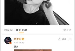 林更新和网红小黑,跨界合作，演绎时尚新篇章