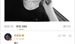 林更新和网红小黑,跨界合作，演绎时尚新篇章