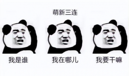 第三帝国表情包,揭秘纳粹德国的另类文化现象