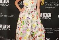 明星的新衣,时尚盛宴背后的故事