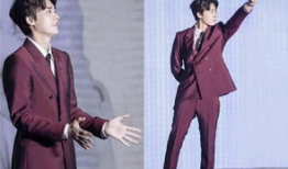 明星酒红色西服,明星酒红色西服风采独领风骚